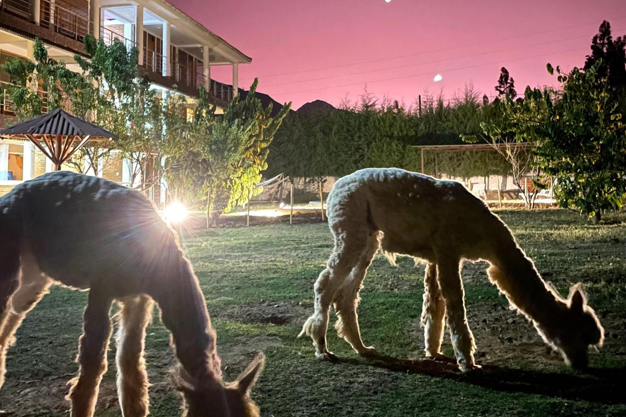 Runaway Eco Hotel Carhuaz Buitenkant foto